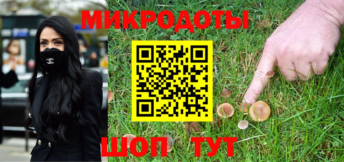 Псилоцибиновые грибы Magic Shrooms Северобайкальск