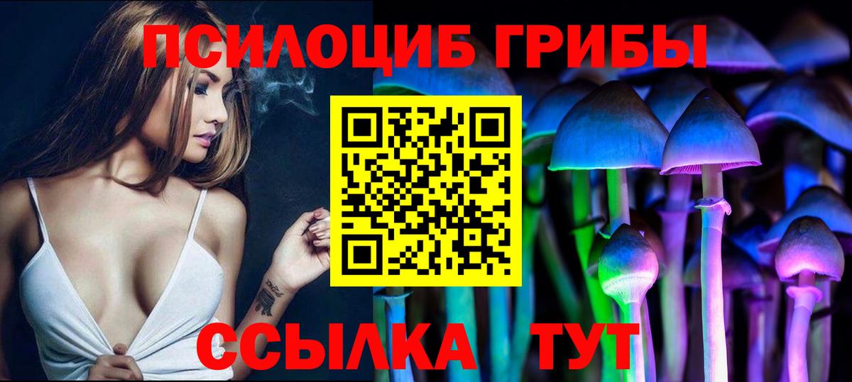 Галлюциногенные грибы Psilocybe  Вход с VPN  Северобайкальск 